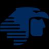Airline Logo